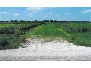 Tract 2_Entrance to West 60 acres off US 41 - 299.26+/- Acres Offered in 2 Tract Land Auction